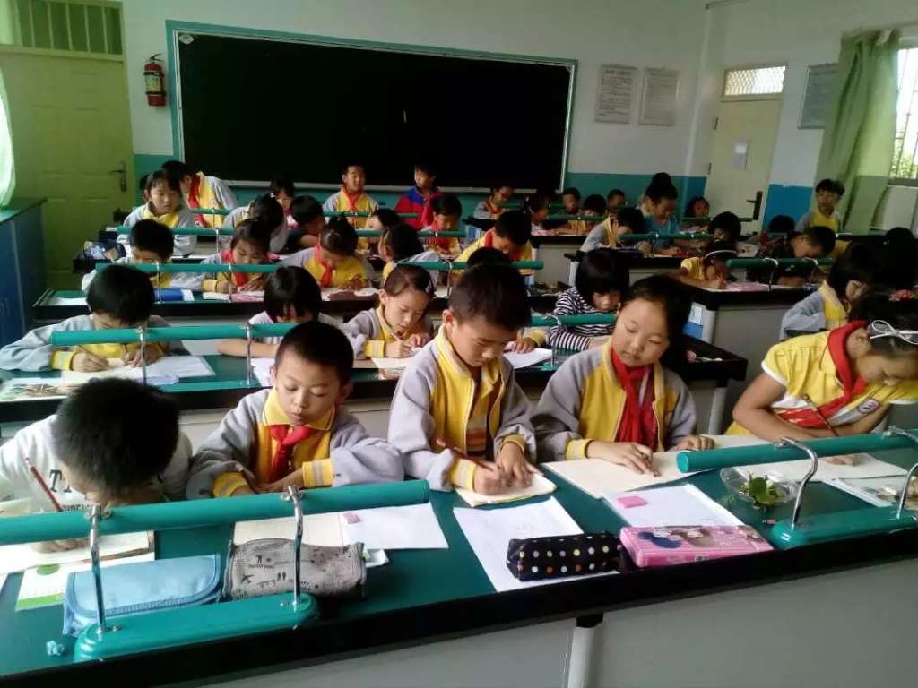 《观察霉菌和面包》课堂小组合作实录 - "教育超市"
